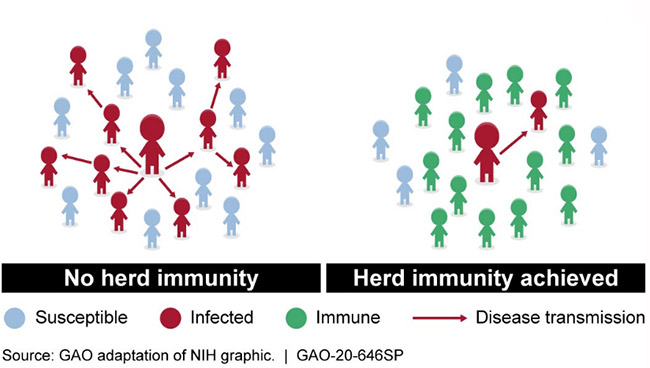 A chart explaining herd immunity