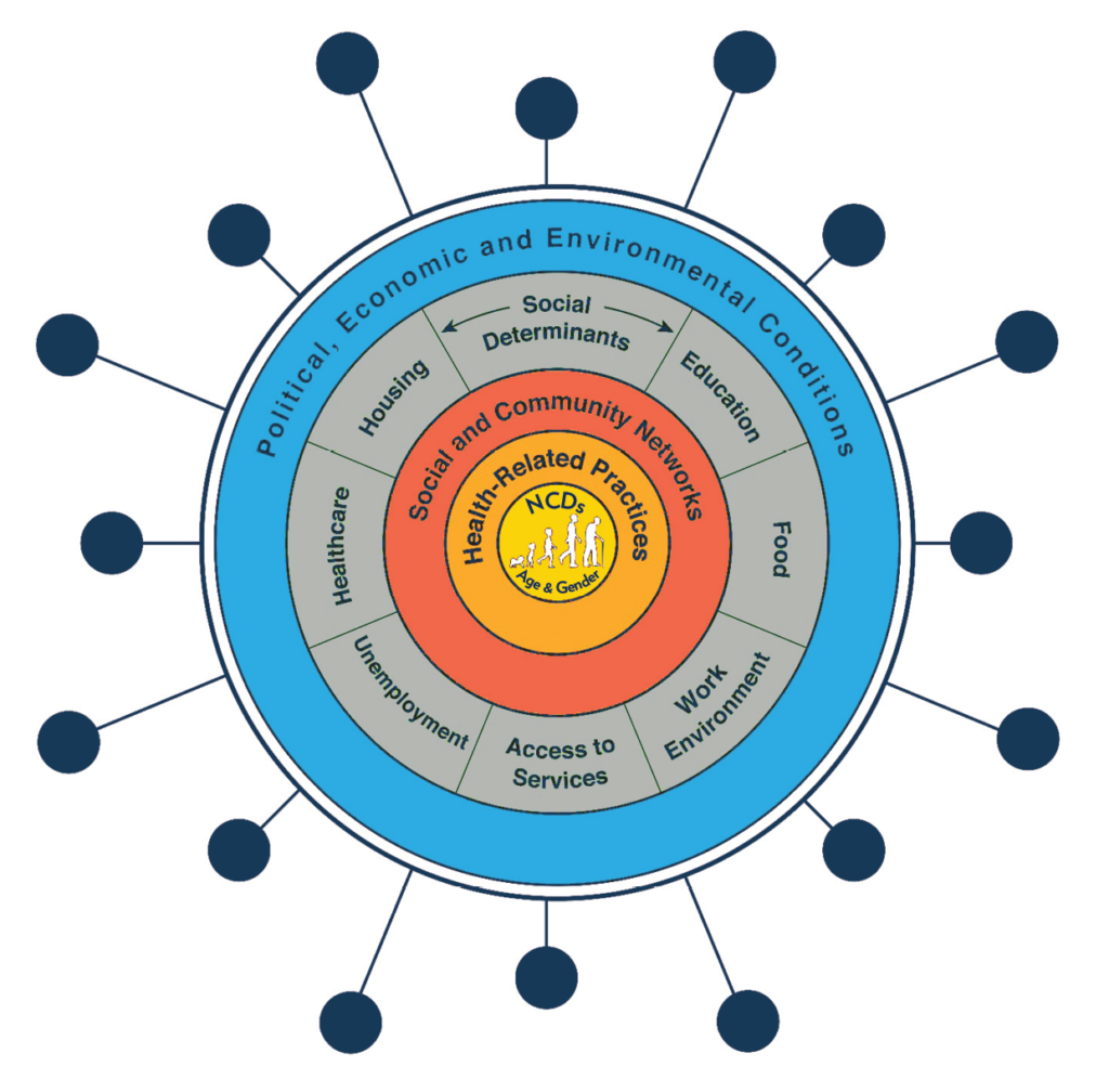 The syndemic of COVID-19, non- communicable diseases (NCDs) and the social determinants of health (adapted from Singer and Dahlgreen and Whitehead).