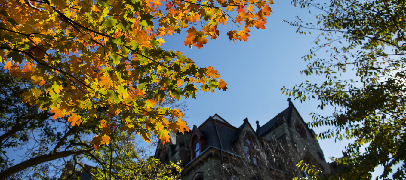 Penn campus in the fall.